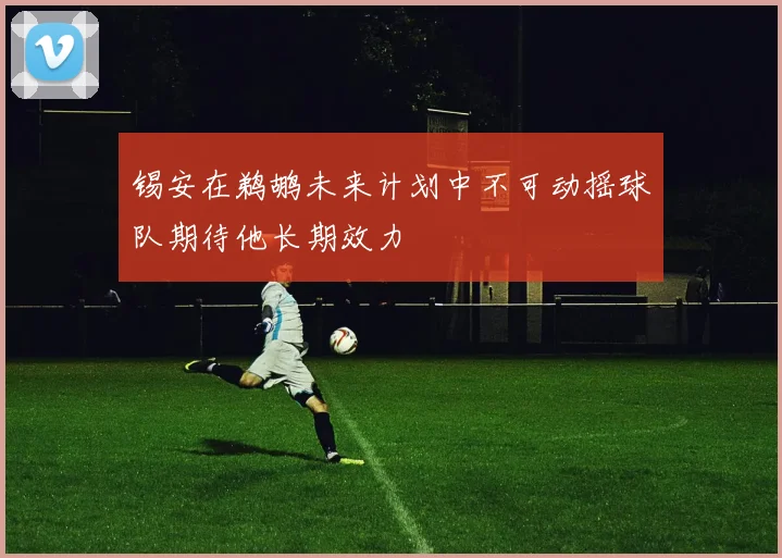 锡安在鹈鹕未来计划中不可动摇球队期待他长期效力
