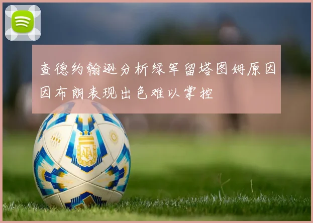 查德约翰逊分析绿军留塔图姆原因因布朗表现出色难以掌控